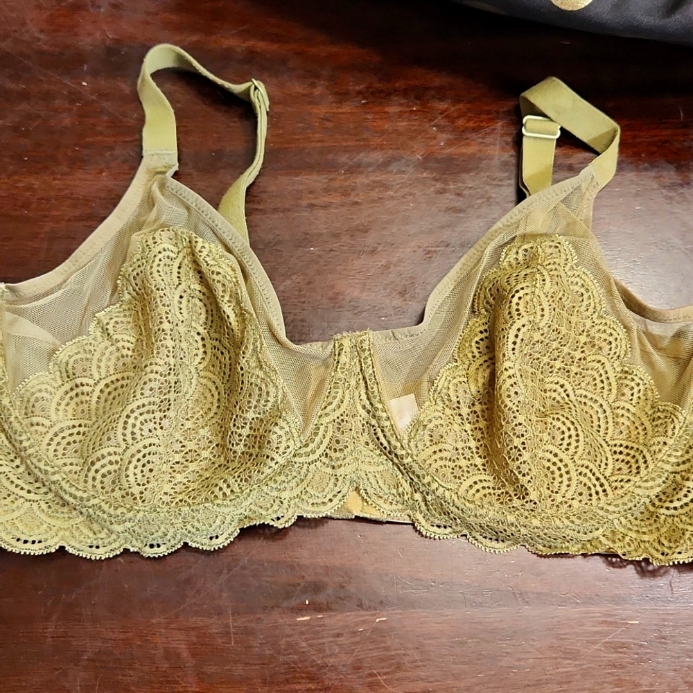Lace and Mesh minimizing bra